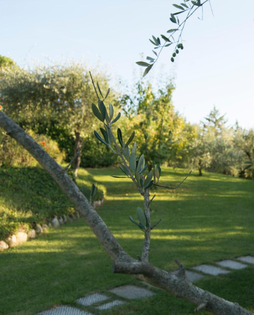 Borgo Villa Risi Sienne Extérieur photo